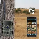 Stealth Gear rajakaamera Hedgehog 4G