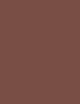 Inebrya Color 5/4 Light Chestnut Copper 100ml - Hair Color uniseks