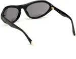 WEB EYEWEAR P&auml;ikeseprillid naistele WE0288-6001A (L&auml;&auml;ts/Sild/Tagaosa) 60/18/125 mm