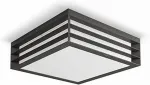 PHILIPS Ceiling fitting Moonshine anthracite fixture