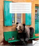 Victor Stationery OU Kaustik 36 lehte, jooneline, 5 tk