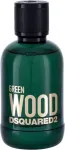 Dsquared2 Green Wood 100ml - Eau de Toilette meestele