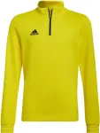 Adidas Sweatshirt for kids Entrada 22 Training Top yellow HI2133 140cm