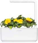 Click & Grow Smart Garden Refill Saialill 3tk