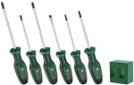 Bosch Powertools screwdriver + magnetizer set, 6 pieces (green/black, + magnetizer, slotted and Phillips PH/TX)