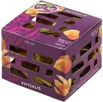 No brand F&uuml;&uuml;sal, 100g, TK