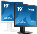 Monitor Iiyama ProLite/B1980S-B1/19"/TN/1280x1024/75Hz/3ms/Black/3R