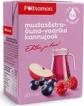 P&otilde;ltsamaa Kannujook Mustas&otilde;stra-&otilde;una-vaarika 0,2L, 2 tk