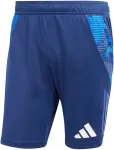 No name Men's shorts adidas Tiro 24 Competition Training navy blue IR5485 S