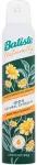 Batiste Naturally Green Tea & Chamomile 200ml - Dry Shampoo naistele