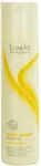 Londa Professional Visible Repair 250ml - Shampoo naistele