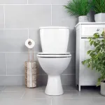 Beldray LA030252UFFEU7 Antibac Toilet Seat