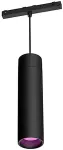 Philips Hue White & Color Ambiance Perifo &bull; Erweiterungspendel schwarz