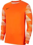 Nike Dry Park IV JSY LS GK Men's Goalkeeper Sweatshirt orange CJ6066 819 2XL