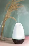 MiniMu SG0059 aroma diffuser