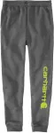 Carhartt Graphic Jogger Sweatpants