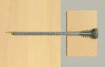 Fischer Reguleerimiskruvid FAFS 5.0 x 100 TX25 (100 tk)