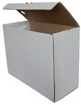 SMLT Arhiivikarp 295 x 175 x 370 mm, pruun kartong, 2 tk