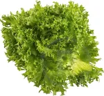 No brand Salat Frillice, kg