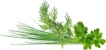 Click & Grow Plant Pod Classic Garnish Mix 9tk