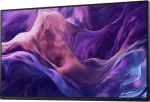 Monitor Dell PRO 24 PLUS P2425HE FHD IPS 16:9 PIVOT 100HZ USBC-90W RJ45 (NO STAND)