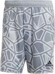No name Men's goalkeeper shorts adidas Condivo 22 GK gray HB1628 L