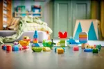 Lego 10479 DUPLO Classic Colorful Creative Box