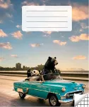 Victor Stationery OU Kaustik 36 lehte, ruuduline, 5 tk