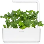 Click & Grow Smart Garden Refill Lehtkapsas 3tk