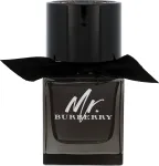Burberry Mr. Burberry 50ml - Eau de Parfum meestele
