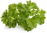 Click & Grow Smart Garden refill Petersell 3tk