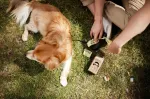 Starch Bag - Dog poop bags - 1 x 15 pcs