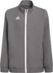 Adidas Sweatshirt for kids Entrada 22 Presentation Jacket gray H57539 128cm