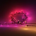 Philips Hue Set Wh. & Col. Amb. Festavia Lichterkette 20m + Smart Plug