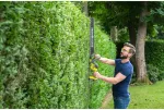 NONAME Ryobi Hedge Shears for trimming and shaping hedges