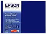 EPSON Proofing Paper Standard - Halbmattes Proofing-Papier - 9 mil - Rolle (43,2 cm x 30,5 m) - 240 g/m2 - 1 Rolle(n) (C13S045111)