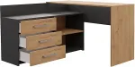 TOP E SHOP Topeshop DANY ANT/ART KPL computer desk