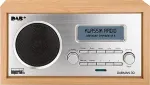 Raadio No name Imperial DABMAN 30 Personal Analog & digital Silver
