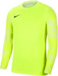 Nike Dry Park IV JSY LS GK Lime Goalkeeper Sweatshirt CJ6066 702 M