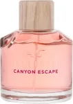 Hollister Canyon Escape 100ml - Eau de Parfum naistele