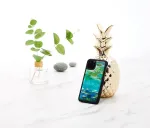 IKins SmartPhone case iPhone 11 Pro water lilies black
