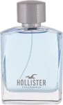 Hollister Wave 100ml - Eau de Toilette meestele