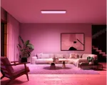 Philips Hue Surimu rectangular panel light, 120 x 30 cm | 2000-6500 Hue White Color Ambiance | Bluetooth, Zigbee