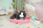 ZAPF Creation BABY born&reg; My Kitten Cookie with Box, Doll Accessories 43 cm