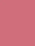 Rom&nd Juicy Lasting Tint 25 Bare Grape 5.5ml - Lip Gloss uniseks
