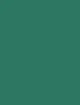 L'Or&eacute;al Paris Infaillible Grip 36H Gel Automatic Eye Liner 008 Emerald Green 1.2g - Eye Pencil naistele