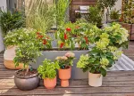 Gardena MDS Reihentropfer 2L/h