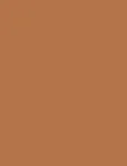 Shiseido Synchro Skin Correcting GelStick 401 Tan 2.5g - Corrector naistele