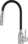 Deante Kitchen faucet with bent spout - 2 types of spray