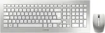 Klaviatuur CHERRY DW 8000 RF Wireless Silber Tastatur white QWERTZ DE